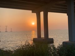 -宝安西湾红树林湿地公园