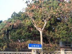 -八大关景区