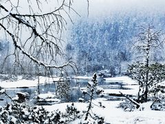 -峨眉山风景名胜区