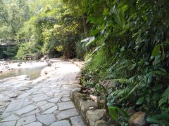 -广州市石门国家森林公园