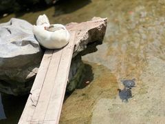 -龙华寺