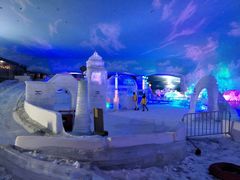 -世界之窗阿尔卑斯冰雪世界