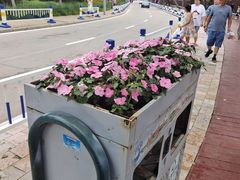 -北戴河碧螺塔海上酒吧公园