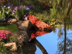 -共青国家森林公园-售票处