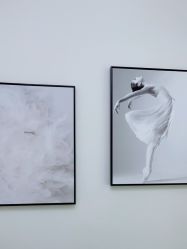 -VE专注问题肌·赛诺龙&科学美肤中心