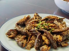 嘎牙鱼-巩本明鱼屋子