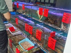 水产区-金海湾海鲜排档(朱家尖店)