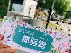 -鹅湖玫瑰文化园