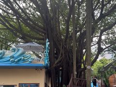 -广州海洋馆