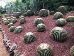 -呀路古热带植物园