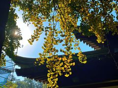 -西园戒幢律寺