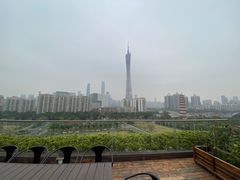 -小茶闲舍·观景商务茶馆(广州塔店)