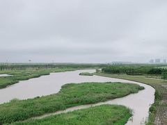 -春花秋色城市公园