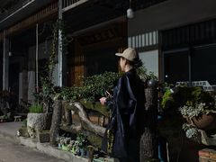 -铁山坪森林公园