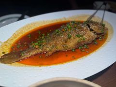 -三强鸽子(胜利路店)