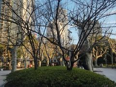 -ZARA(大上海时代广场店)
