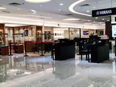 -知音艺术教育培训·钢琴培训·音乐培训(河西金鹰世界校区)