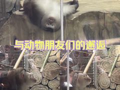 -黔灵山公园