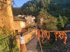 -杨家堂村
