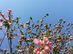 -荆川公园