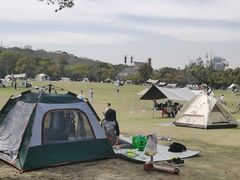 -上海吴淞炮台湾国家湿地公园