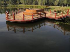-东郊湿地公园