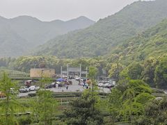 -听风阁农家私房菜茶楼(龙坞店)
