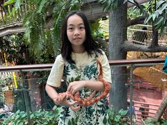 -正佳雨林生态植物园