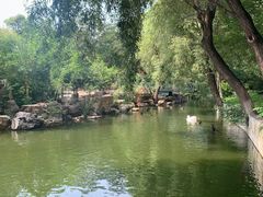 -辛玛王国游乐园