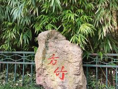 -杭州黄龙洞