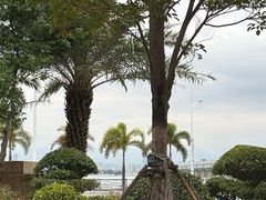 -海堤纪念公园