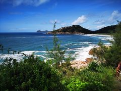 -广东惠东海龟国家级自然保护区