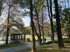 -四海公园(南山区)