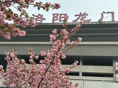 -洛阳龙门站
