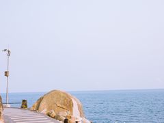 -广东惠东海龟国家级自然保护区