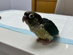-博特宠物医院24h犬猫全科.骨科·异宠