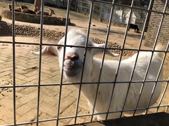 -武汉紫薇都市田园