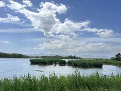 -野鸭湖国家湿地公园