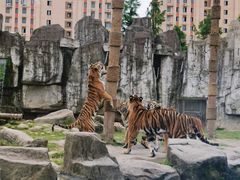 -上海野生动物园