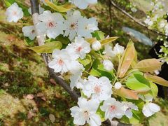 -梁鸿国家湿地公园