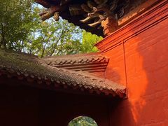 -洛阳白马寺