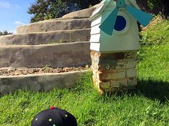 -黄色小屋
