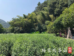 -礼耕堂·百年茶人餐厅(梅家坞店)
