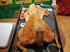 -九十九顶毡房(阜石路店)