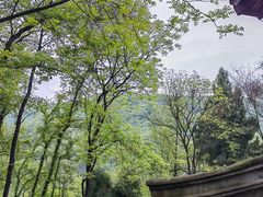 -李冰陵园