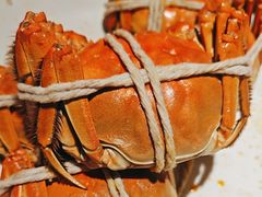 -杨氏青龙虾·羊肉季(金盛路总店)