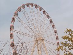 -顾村公园