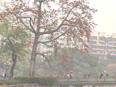 -东山湖公园