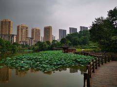 -龙头寺公园