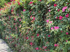 -常德桃花源景区